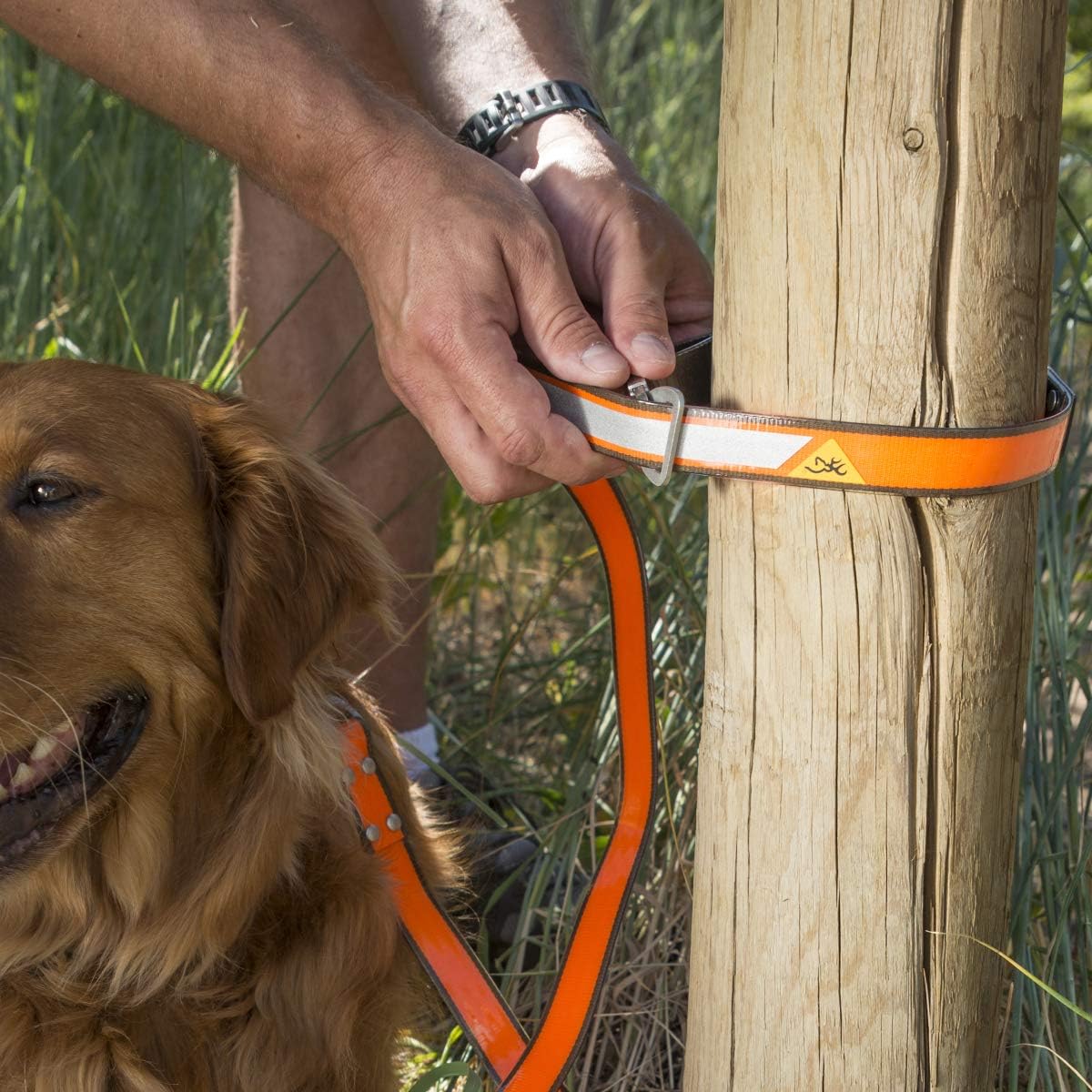 corner aquarium with stand