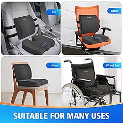 CushZone Seat Cushion, Lumbar Support Pillow with