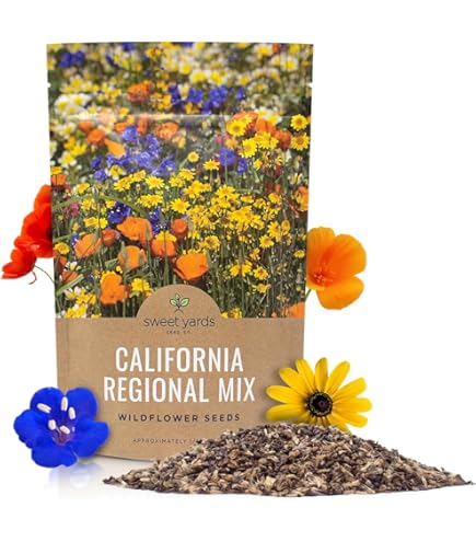 Amazon.com : Non GMO Bulk California Wildflower Seed Mix (1