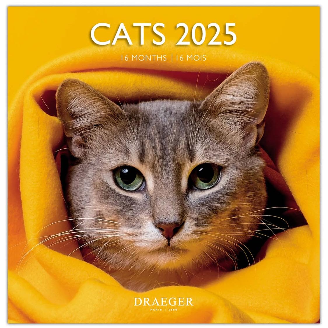 DRAEGER PARIS 1886 - Large Wall Calendar 29x29cm 2025-7 Languages - Various Themes: Cats - September 2024 to December 2025 - FSC Paper Eco - Artistic Design - Notes & Appointments