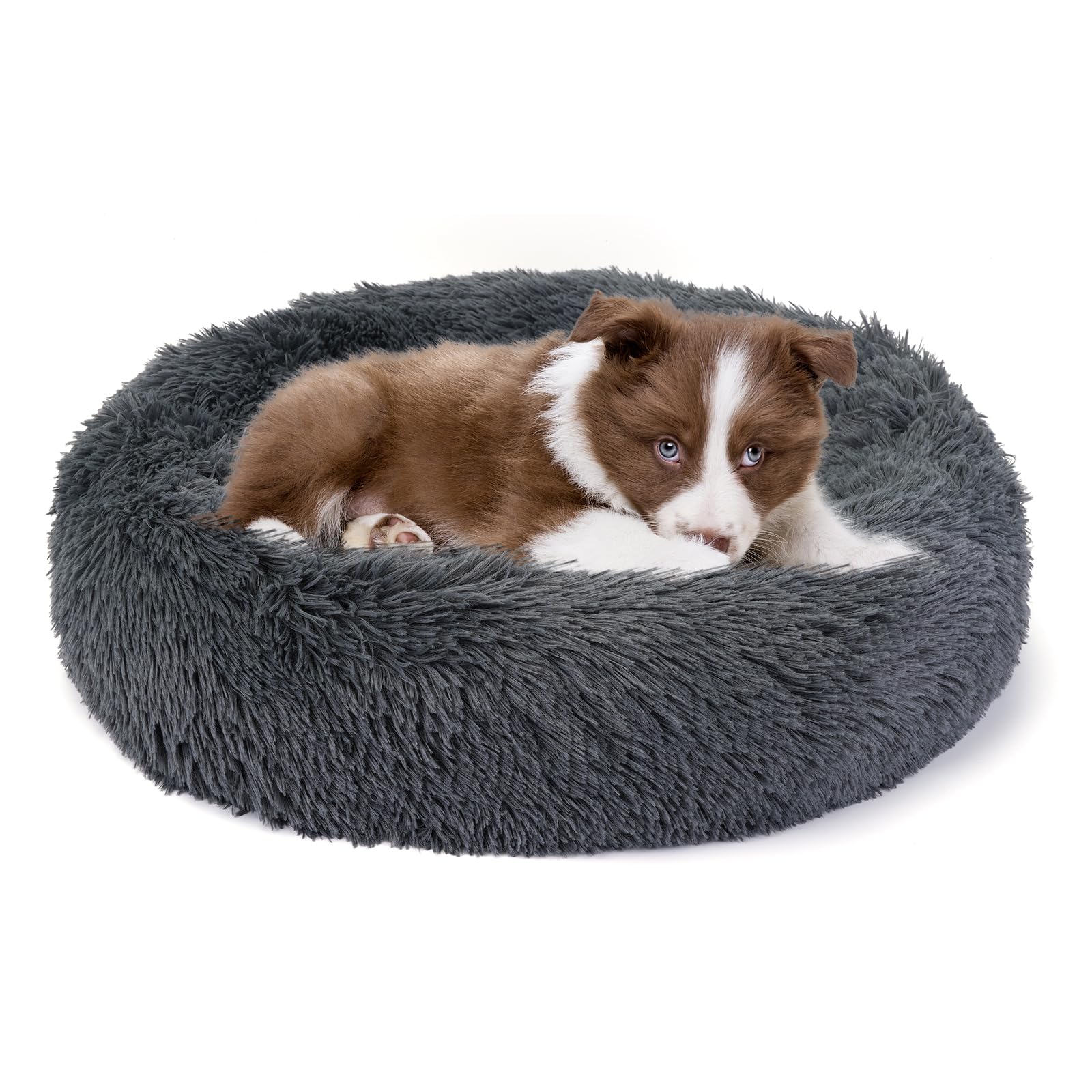 Belababy Donut Dog Cat Bed, Calming Doughnut Fluffy Dog Cat Bed Small Medium Large Washable with Soft Plush, Anti Anxiety Round Dog Puppy Bed with Anti-Slip Bottom (XS, Dark Grey) — image 1