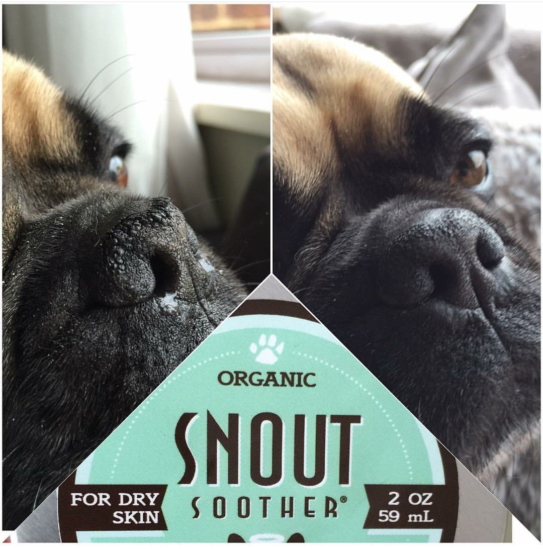 natural dog snout soother