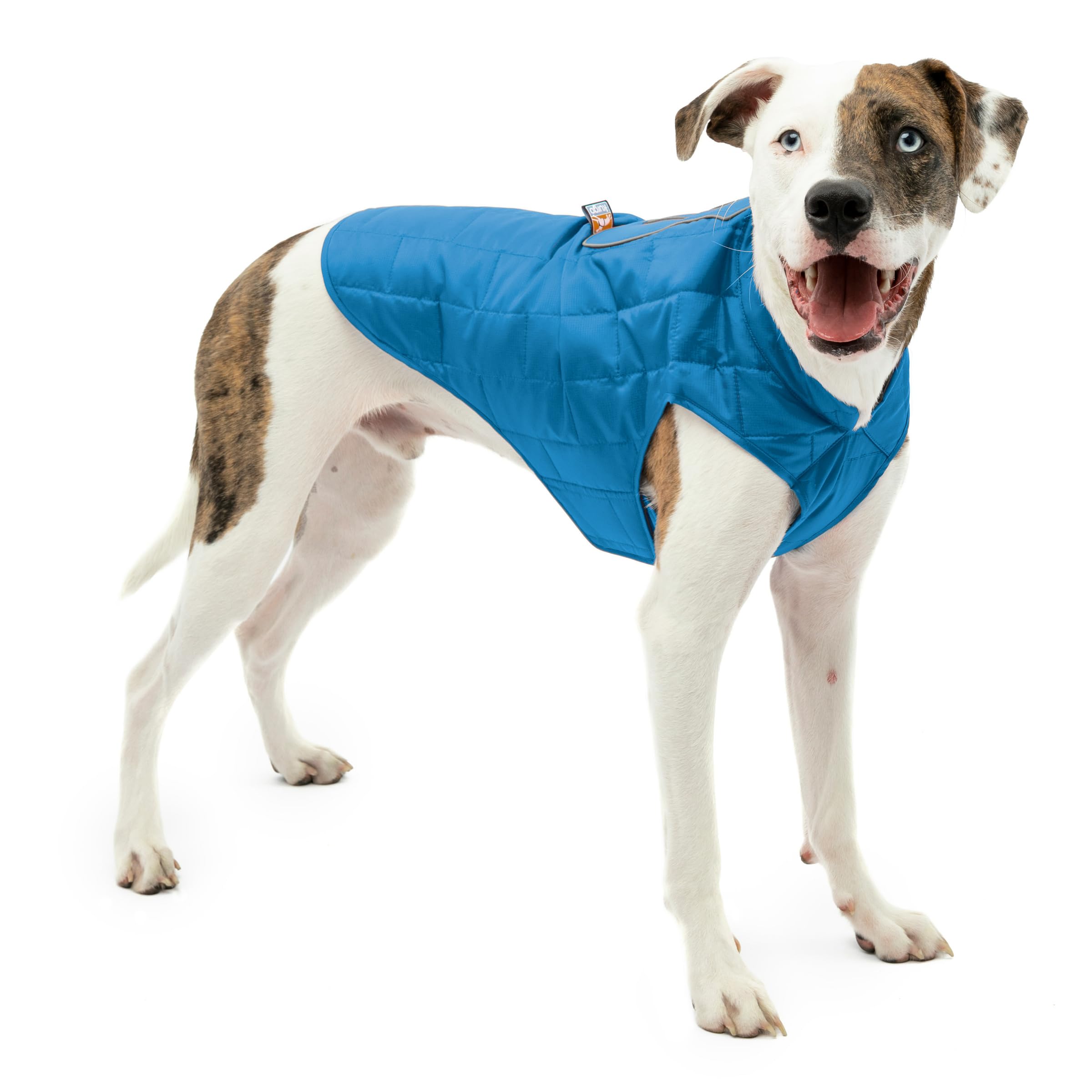 Kurgo unisex adult Dog Kurgo Loft Jacket Blue Orange Medium, Coastal Blue/Orange, M UK — image 1