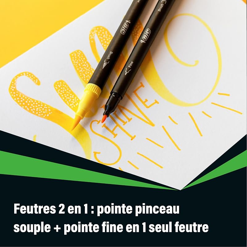 Intensity Filzstifte Set, Dual Tip Brush Pen zum Malen in 12 verschiedenen Farben, mit Pinsel & feiner Spitze