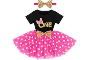IMEKIS Baby Girls 1st 2nd Birthday Outfit Mouse Ladybug Dress Headband Polka Dots Tutu Skirt Set ONE Cake Smash Photo Shoot