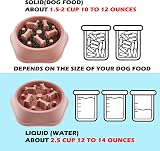 CAISHOW Slow Feeder Dog Bowl for Small Medium Dogs Non-Slip 9.25x8.85x1.96 in view 4