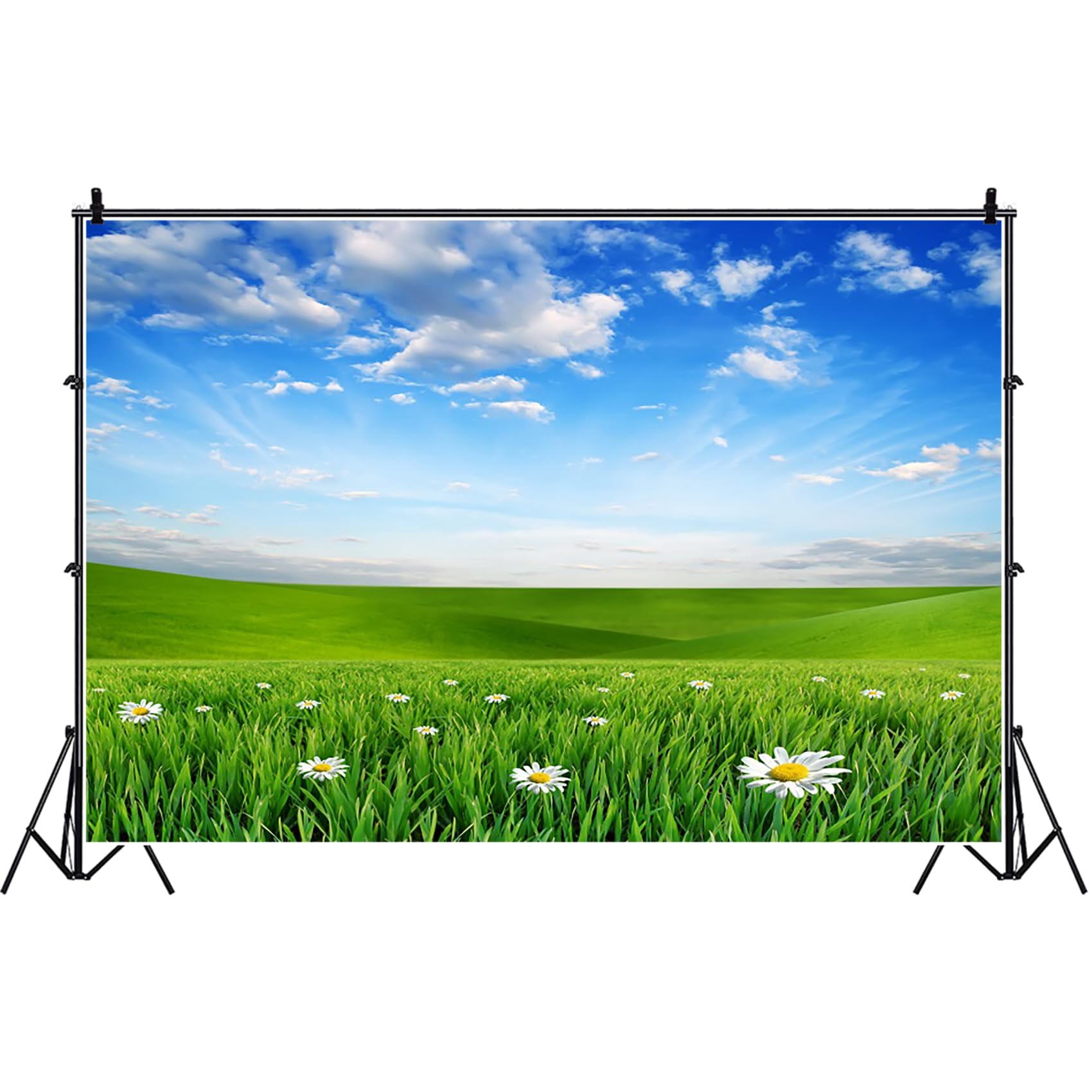 Bovlleetd 10x6.5ft Sky Blue White Cloud Backdrop Charming Spring Natural Scenery Background Cloth Green Lawn Daisy Flowers Photography Background YouTube Portrait Photo Props Vinyl