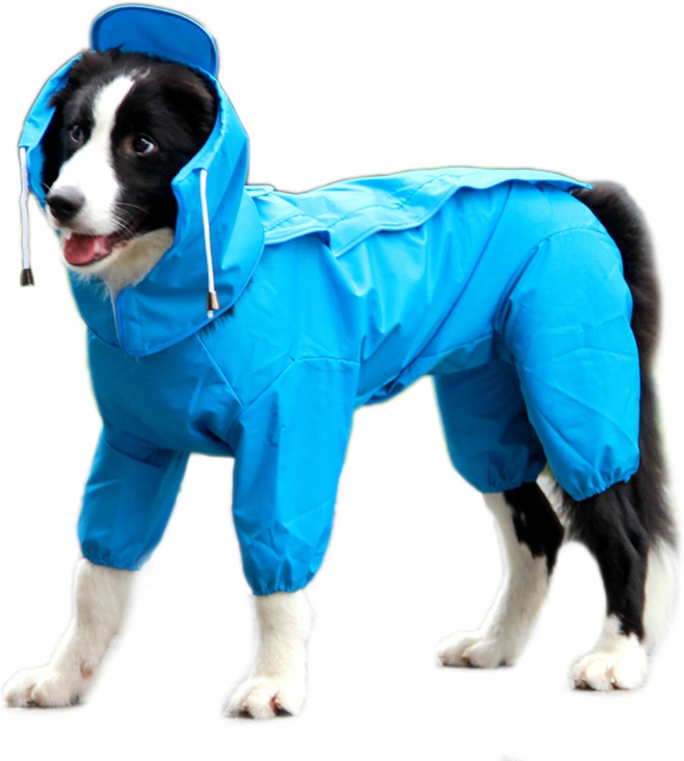 dog raincoat with harness hole