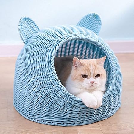 cattery supplies