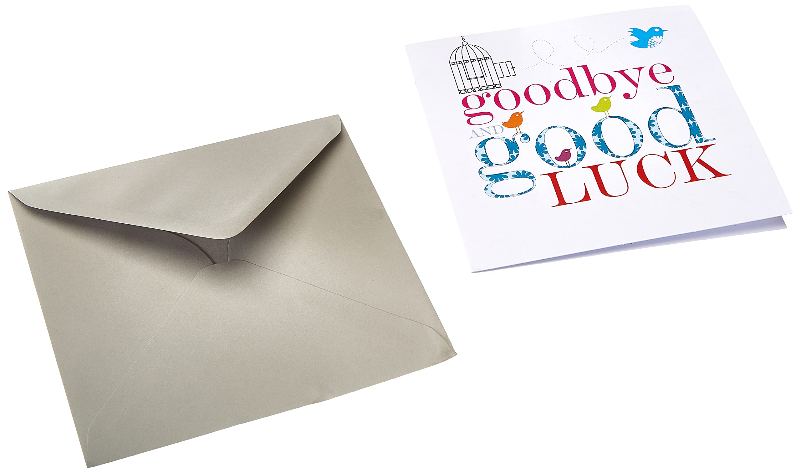 Claire Giles Greeting Cards, Goodbye and Good Luck Card, Bird design Congratulations and Goodbye Card,