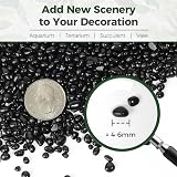 T4U Tumbled Black Gravel Chips 2 LB Irregular Natural Rock Pebbles 4-6mm view 5