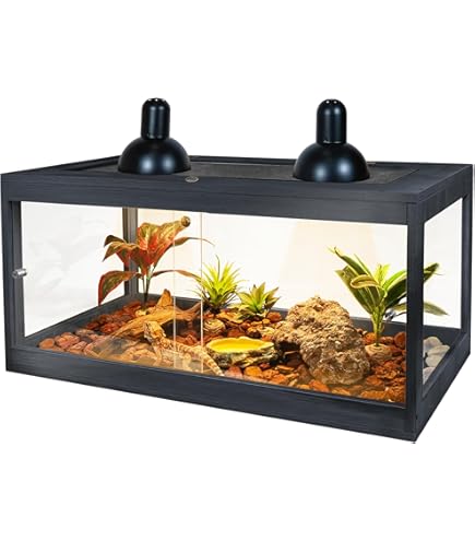 Hot zoo med bearded dragon kit 20 gallon Discount