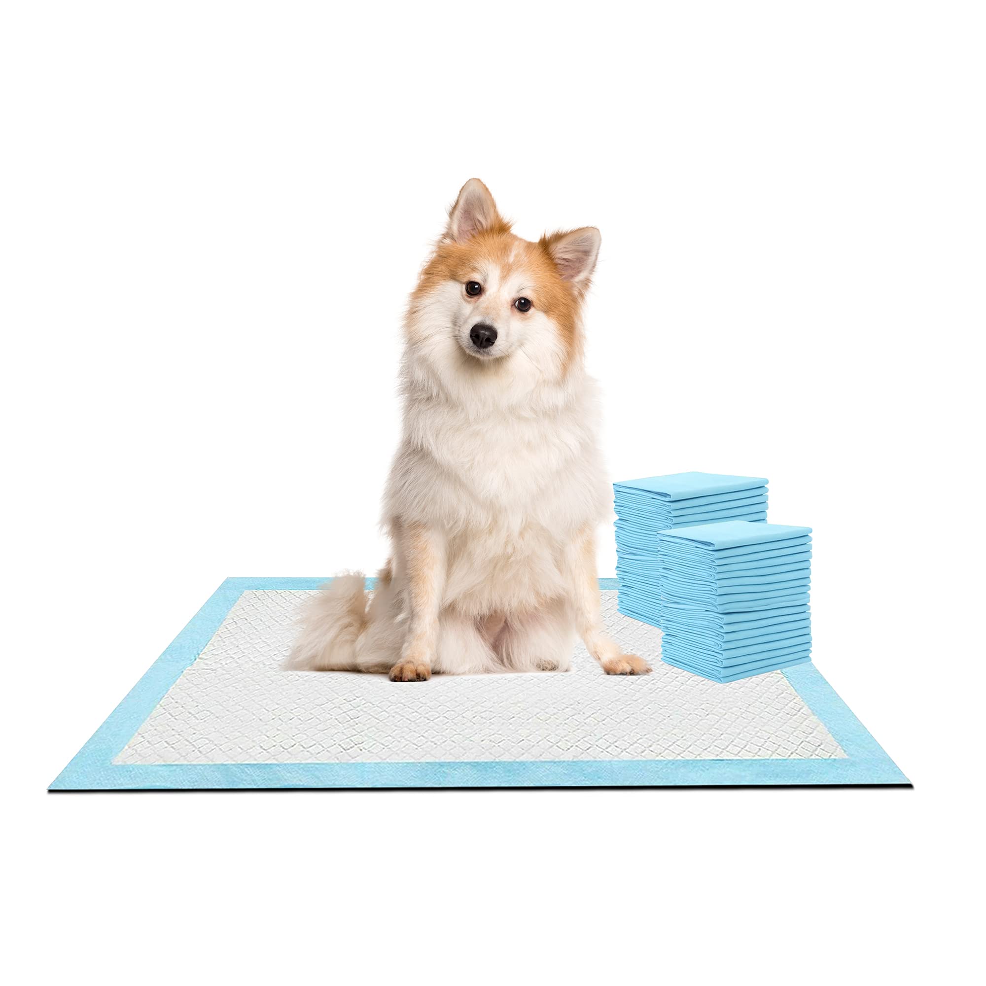 RMTL Pet Training Pads Dog Pee Leak-Proof Mats - Super Absorbent Disposable Quick Drying Pee Wee Mats For Dogs, Cats, Rabbits Pets Pack of 50 (Medium) (60x45cm)