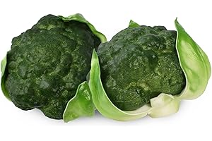 Hagao Fake Broccoli Artificial Vegetables PU Broccolis Simulation Lifelike for House Kitchen Party Pub Decoration Cabinet Ornament 2 pcs
