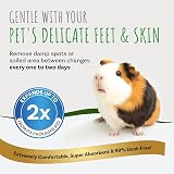 Small Pet Select Aspen Bedding 41L Small Animals Litter view 5