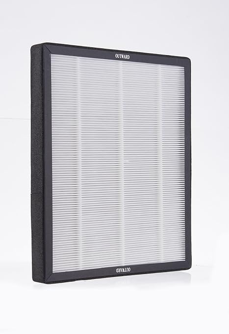 Reemplazo Hepa y filtro de carbón para NaturoPure y Intelli-Pro ...