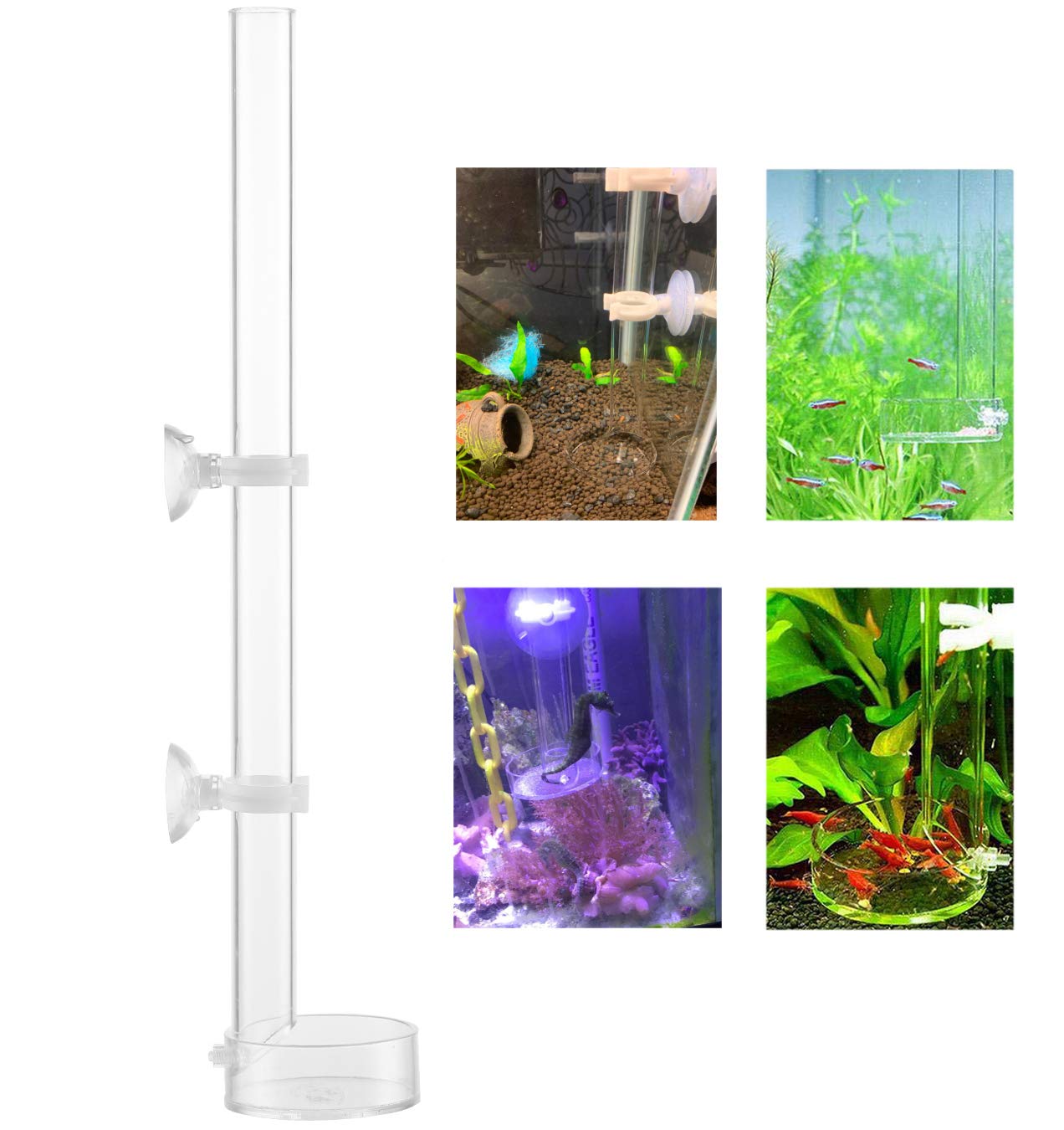 niCWhite Acrylic Shrimp Feeder Tube Feeding Dish Tray, Shrimp Feeding Tube for Fish Tank Aquarium Shrimp Fish, 30cm, with 2 Suction Cups