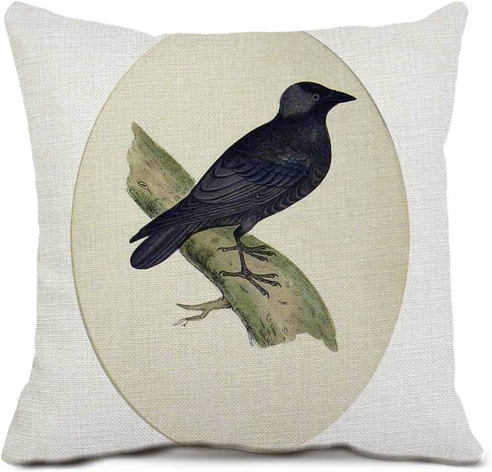 Bird Decorative Throw Pillow Covers Cotton Linen Square Cushion Covers Animal Pillow Cases for Sofa Home Decor 18x18 Inch