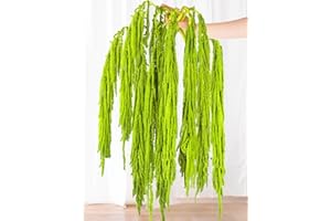 GLICRILI 7Pcs Green Dried Amaranthus Hanging Flowers - 100% Natural Dye Neon Green 23" Real Amaranthus , Preserved Dried Flowers for Wedding Arch Decor, Exhibition, Floral Arrangement