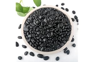 Mulctun 2lb Black Rocks for Planters- 1/4" - 3/4" Polished Black Stones Smooth Flat Pebbles for Fish Tanks Decorative River Rocks for Vases Bonsai Pots Garden Stones for Landscaping and Yards
