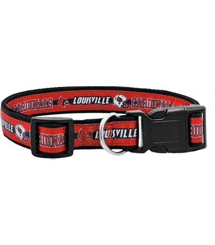 Louisville Cardinals Jersey