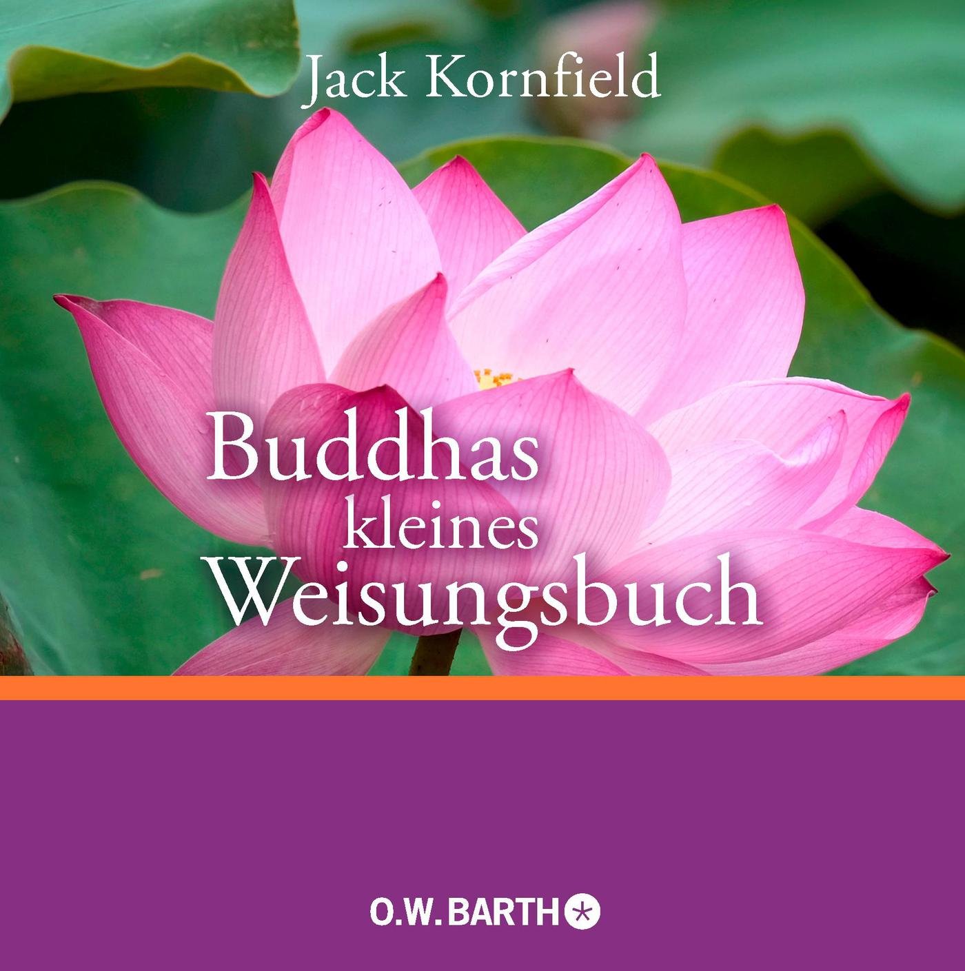 Buddhas Kleines Weisungsbuch Kornfield Jack Kobbe Dr Peter Amazon De Bucher