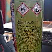 Mittel gegen wespen im rolladenkasten Mittel gegen wespen im rolladenkasten