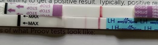 Review Image by Says Me Says Me