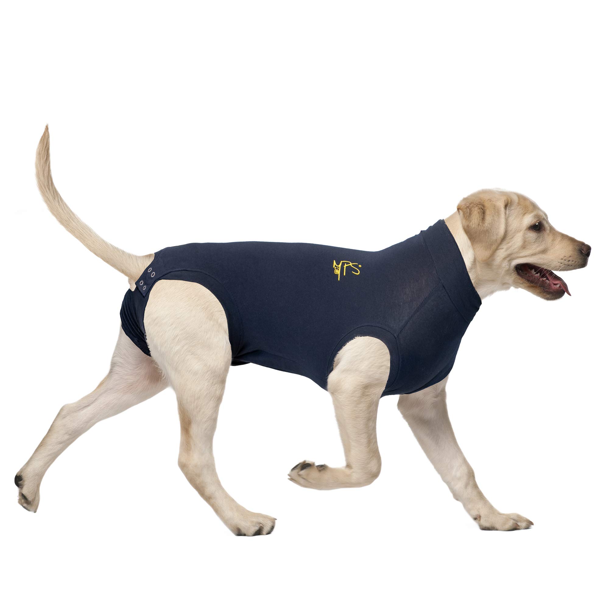MPS Medical Pet Shirt Dog, Surgery Recovery Suit, Blue, Medium โ image 1
