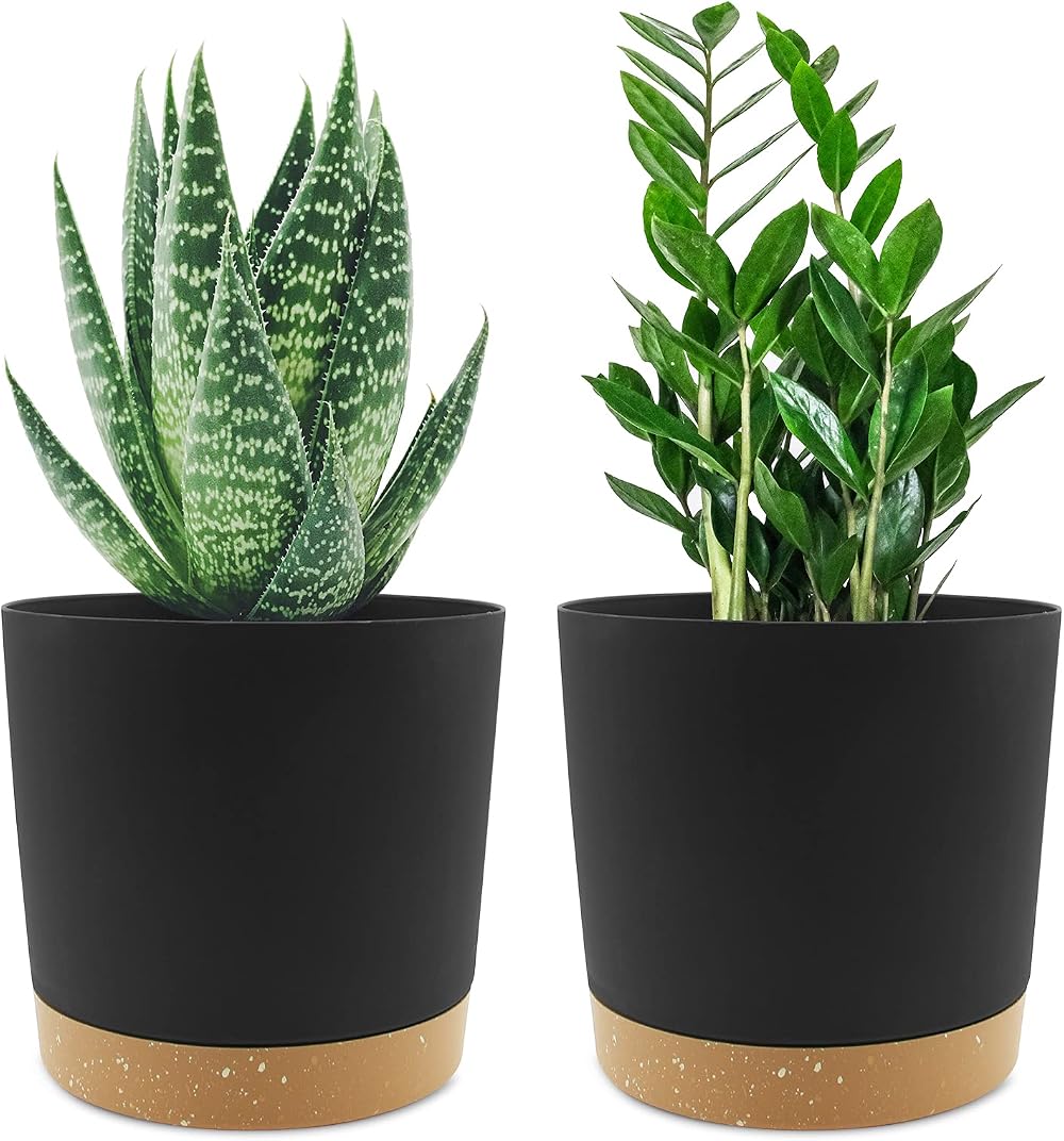 QCQHDU Plant Pot 16.5cm 2 Pack Indoor Outdoor with Drainage Holes & Tray Dark