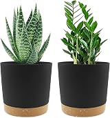 QCQHDU Plant Pot 16.5cm 2 Pack Indoor Outdoor with Drainage Holes & Tray Dark