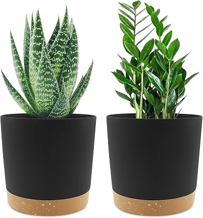 QCQHDU Plant Pot 16.5cm 2 Pack Indoor Outdoor with Drainage Holes & Tray Dark