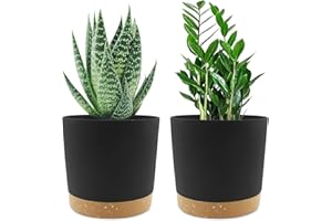 QCQHDU 6.5 inch Plant Pot, 2 Pack Planters for Indoor Plants with Drainage Holes & Saucer, Outdoor Garden Flower Pots Modern 