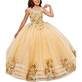 ABAO SISTER Flower Girls Princess Pageant Dreses Party Prom Puffy Ball Gowns Formal Dresses