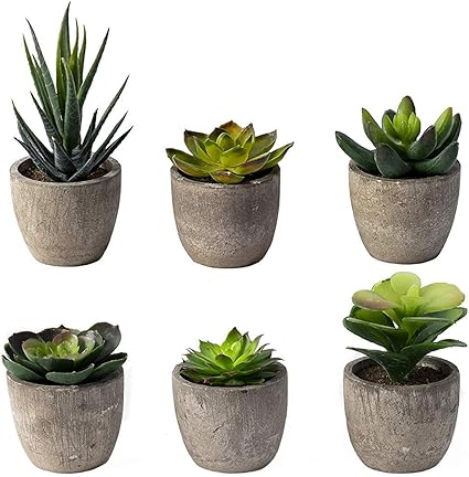 Amazon 6 ポット 小型 人工多肉植物 ミニ フェイク人工多肉植物 棚 キッチン カウンター オフィスの装飾 小さなミニチュアデスクプラント 多肉植物 装飾アクセサリー 鉢植え プラスチック サボテン アロエ 造花 オンライン通販