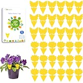 Garsum Fruit Fly Sticky Trap for Indoor and Outdoor, 36 Pack Fungus Gnat Killer for Houseplant,Mosquitos, Flying Insect, White Flies