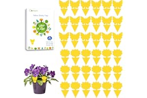 Garsum Fruit Fly Trap Indoor and Outdoor, 36 Pack Gnat Sticky Traps for House Plants, Flying Insect Trap for Fungus Gnat,Mosq