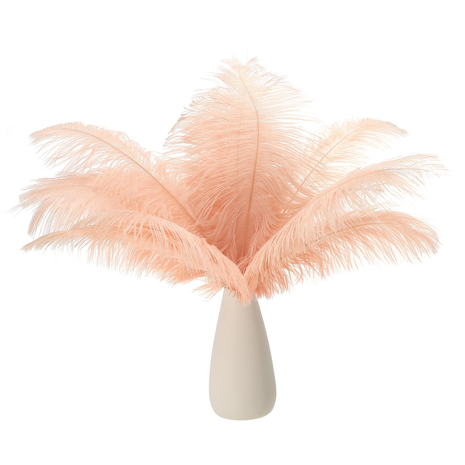 PATIKIL 8-10 Inch(20-25cm) Ostrich Feathers, 30 Pack Artificial Ostrich Feathers Bulk for Wedding Party Centerpieces Decorations Crafts Champagne (6inch Width)