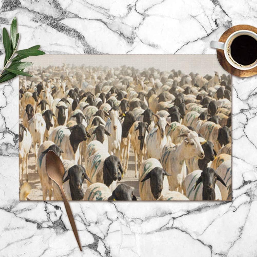 Large beach pants Placemats Set of 6,Flock Sheep Near Berber Somaliland Nature Africa Heat-Resistant Placemats Washable Table Mats for Kitchen Dining Table 12X18 Inch