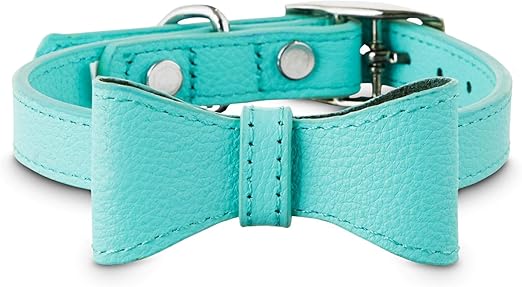 bond and co leather dog collars