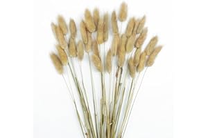 DTXMOH Bunny Tails Dried Flowers 120 Stems, 17“ Dried Lagurus Natural Rabbit Tail Grass Bunch for Vase Fillers, Wedding, DIY Crafts, Rustic Farmhouse Décor