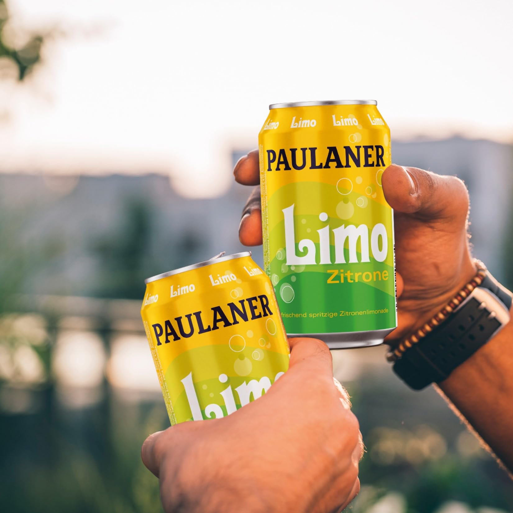 Paulaner Limo Zitrone Erfrischungsgetränk Zitronengeschmack EINWEG (24x0,33l) 5