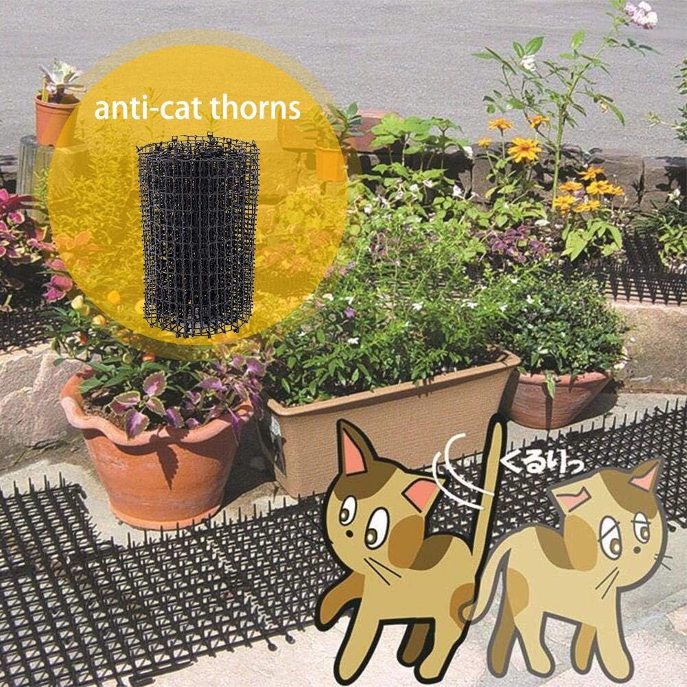 Betteros Filets De Protection De Jardin Grilles Ecologique Anti Chat Epines Clous En Plastique Jardinieres Et Potagers Protection Avec 8 Ongles Pour Murs Clotures Potagers Amazon Fr Cuisine Maison