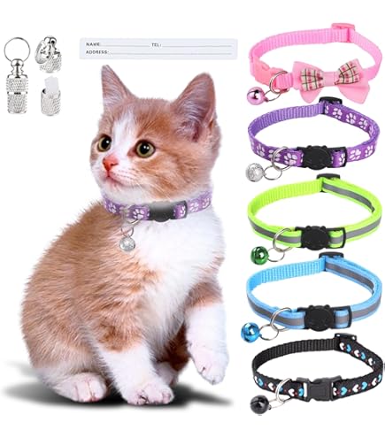 Collier Pour Petit Chien Avec Noeud Papillon Rouge