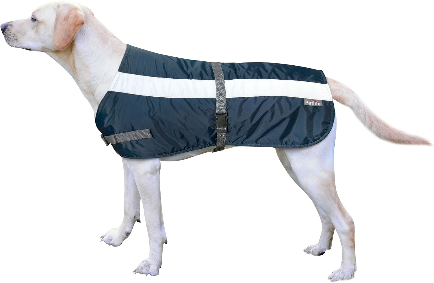 Petlife Flectalon Hi-Vis Dog Jacket Complete with Thermal Lining, 16-inch, Navy Blue, 16 inch