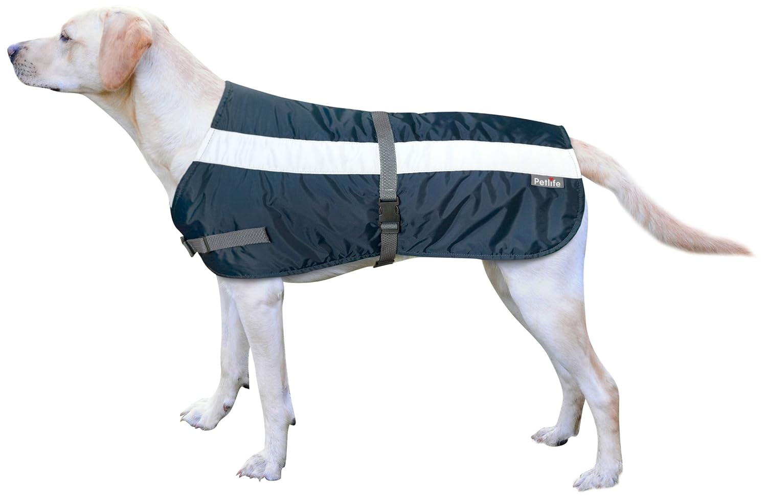 Petlife Flectalon HiVis Dog Jacket Complete with Thermal Lining, 18