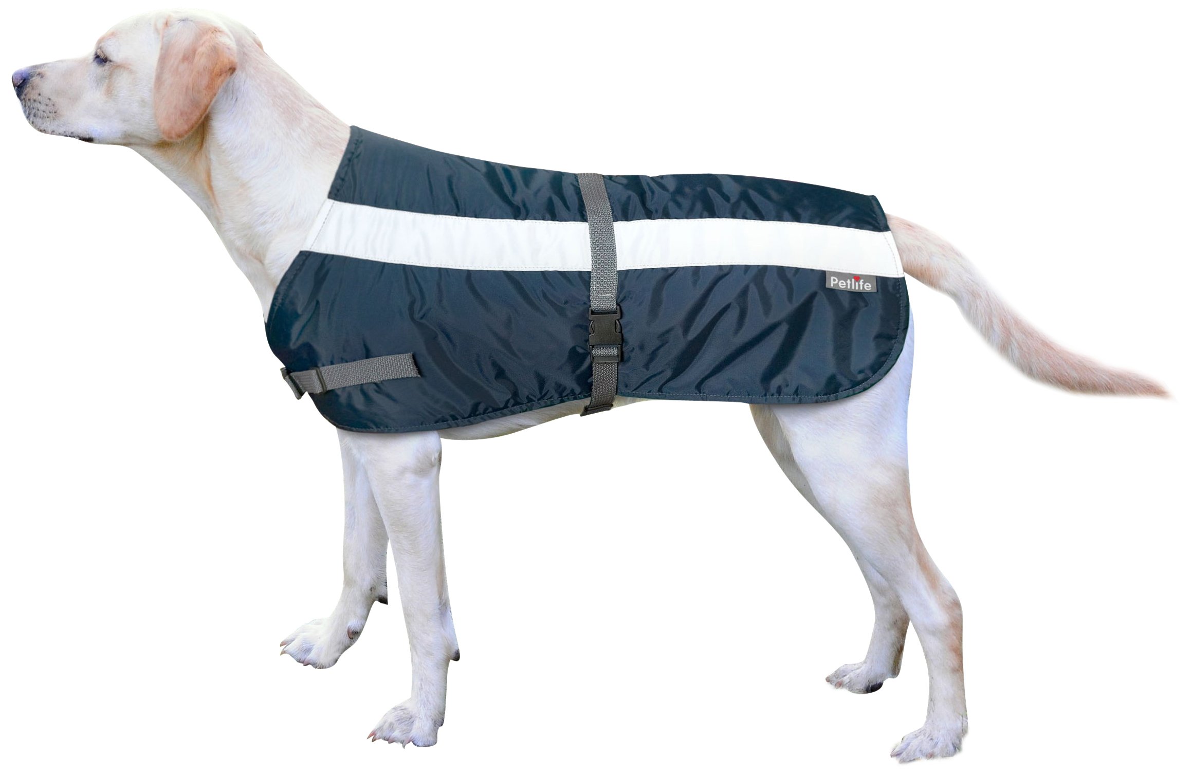 Petlife Flectalon Hi-Vis Dog Jacket Complete with Thermal Lining, 26-inch, Navy Blue