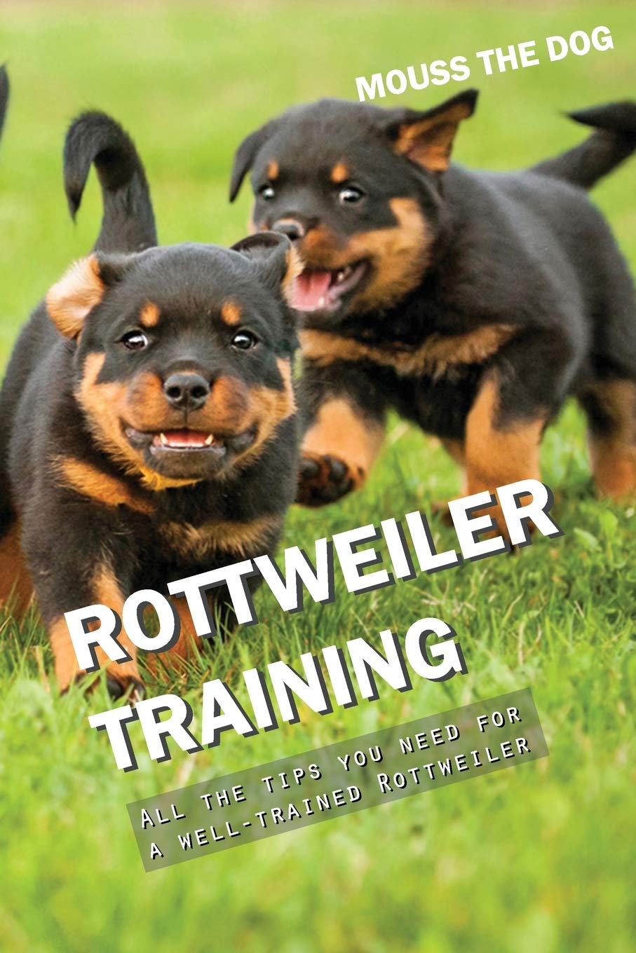 rottweilers in need