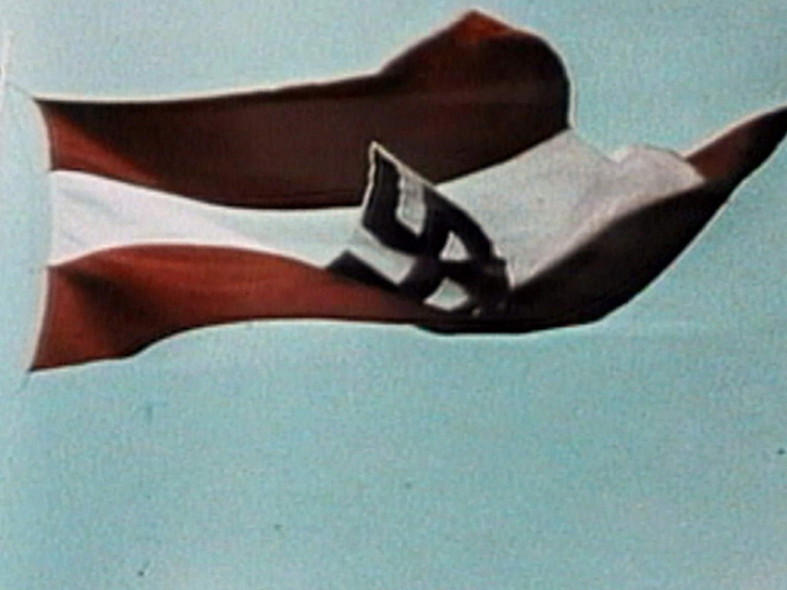 Amazon Co Jp ナチスの証言 党員への尋問の記録を観る Prime Video