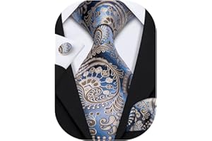 Barry.Wang Paisley Tie Fashion Set Hanky Cufflinks Neckties for Men Woven Silk